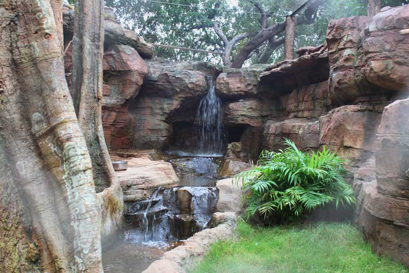 Artificial waterfall in amazon aviary