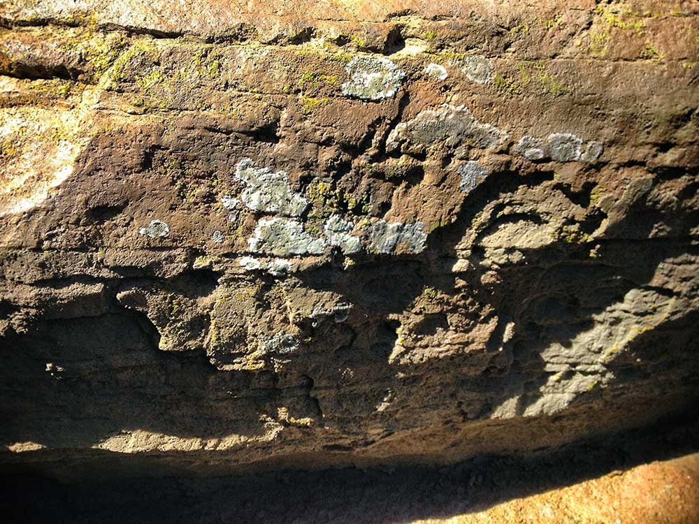 Hand painted lichens on artificial rock