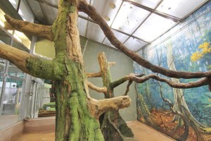 Artificial trees for white face saki