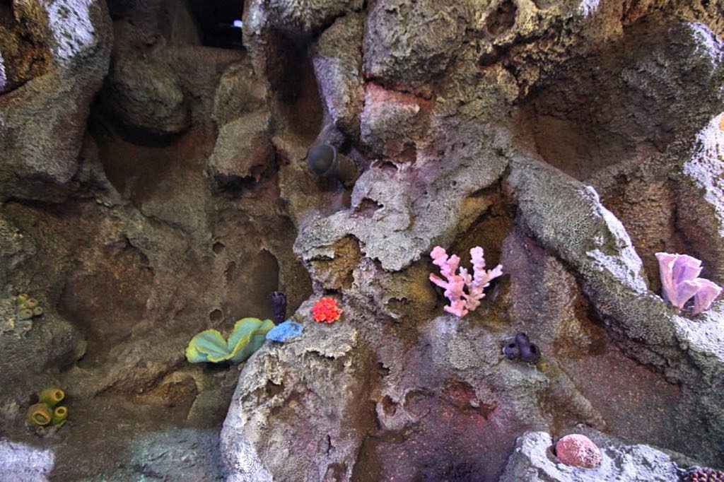artificial coral in public aquarium.