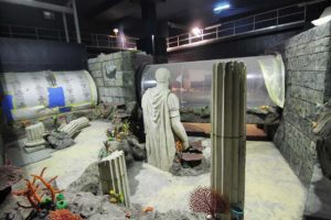 ocean tank theming