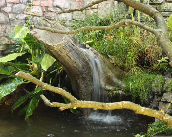 Tree stump waterfall catcher