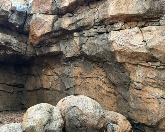 Aged Rock Face & Boulders – Zoo Exhibit Design