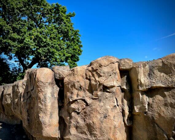 Anti-Climb Kopje Rock – A Natural Solution for Zoo Habitat Design